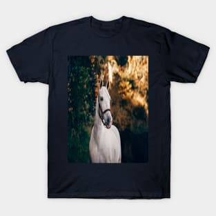 Horse T-Shirt